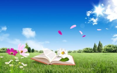 karrier-boldogsag.hu-lifecoach-szabadsag